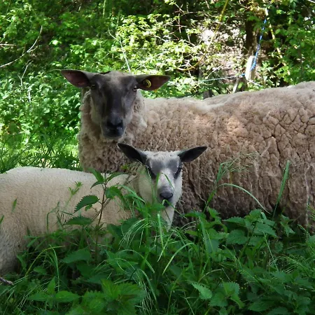 住宿加早餐酒店 La Tarabelle